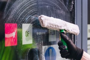 Let Your Windows Shine: The Art and Science of Professional Window Cleaning